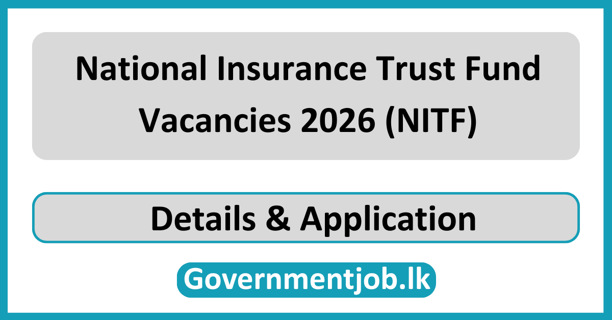 National Insurance Trust Fund Vacancies 2026 (NITF)