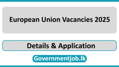 European Union Vacancies 2025