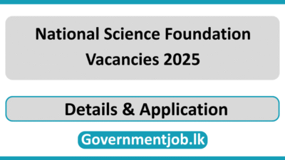 National Science Foundation Vacancies 2025