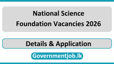 National Science Foundation Vacancies 2026