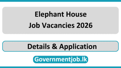 Elephant House Job Vacancies 2026