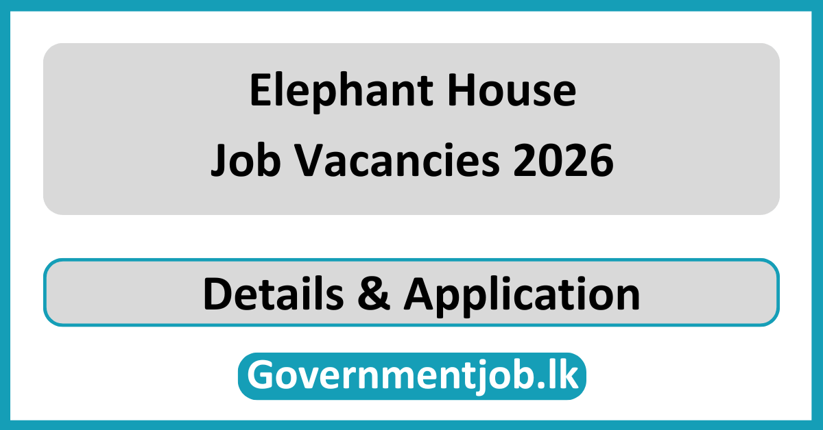 Elephant House Job Vacancies 2026