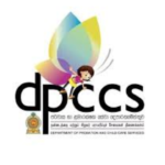 Department of Probation and Child Care Services