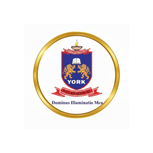 York International School Logo