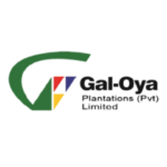 Investigation Officer - Gal-Oya Plantations (Pvt) Limited 1 Gal-Oya Plantations (Pvt) Limited