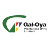 Gal-Oya Plantations (Pvt) Limited Logo