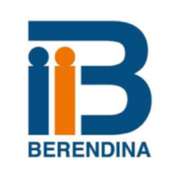 Berendina Micro Investments Company Ltd (BMIC) Logo