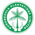 Kurunegala Plantations Ltd