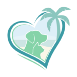 Human Resource Assistant 2 Best Care Animal Hospital (Pvt) Ltd