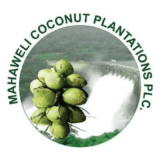 Marawila Coconut Producers' Co-operative Sales Society Limited Logo