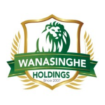 Accountant 2 Wanasinghe Holdings (Pvt) Ltd