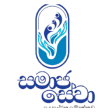 Department of Social Services Logo