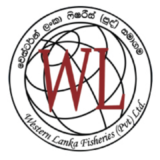 Group Accountant 10 Western Air Ducts Lanka Pvt Ltd Logo