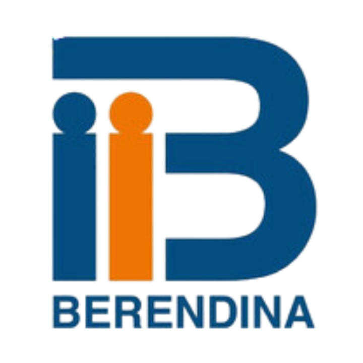 Berendina Micro Investments Company Limited